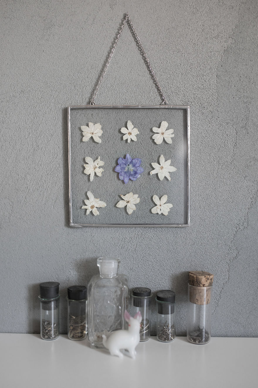 I Quit My Job To Follow My Passion Of Delicate Framed Herbariums I Quit My Job To Follow My Passion Of Delicate Framed Herbariums