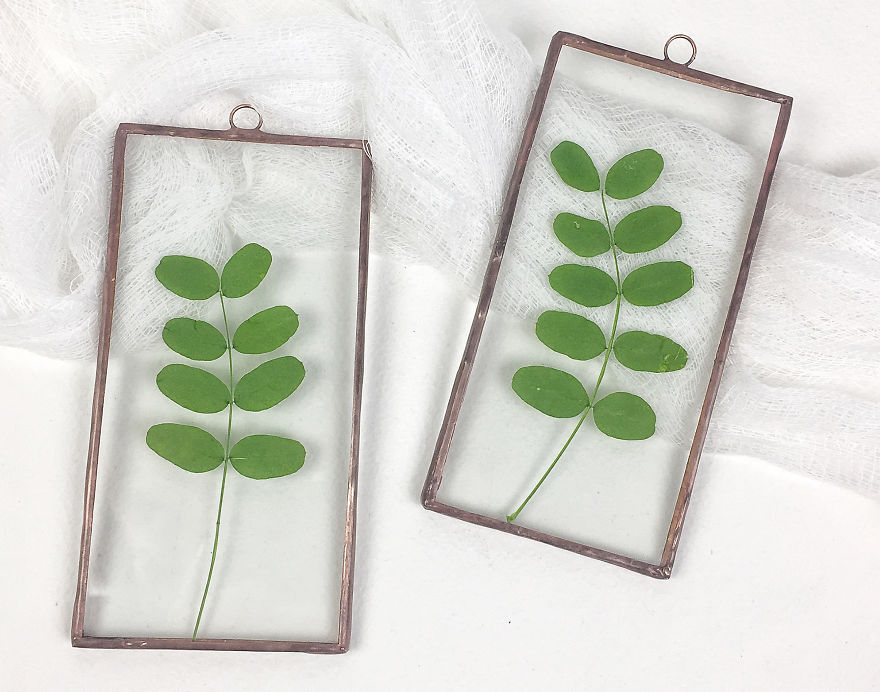 I Quit My Job To Follow My Passion Of Delicate Framed Herbariums I Quit My Job To Follow My Passion Of Delicate Framed Herbariums