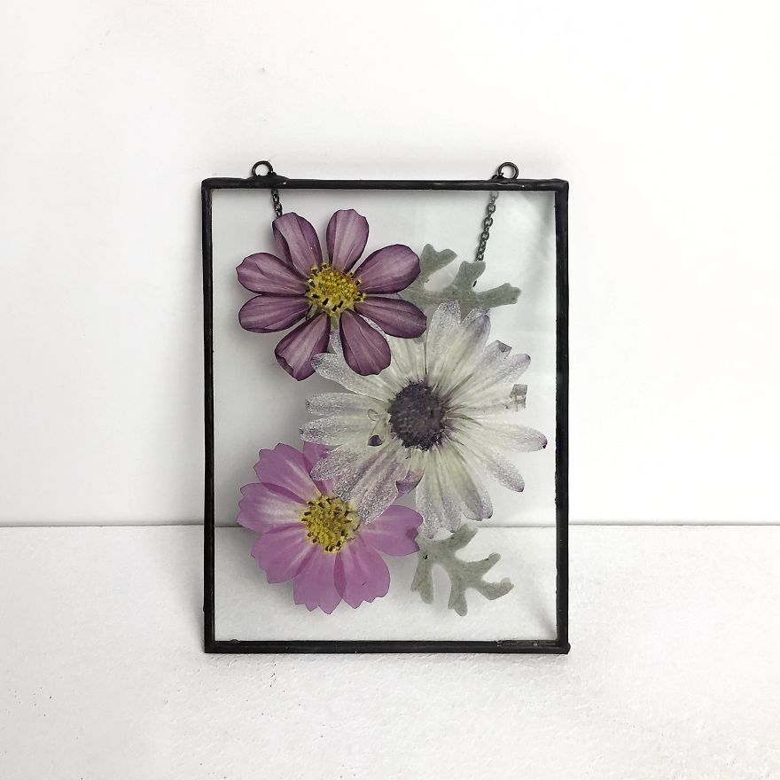 I Quit My Job To Follow My Passion Of Delicate Framed Herbariums