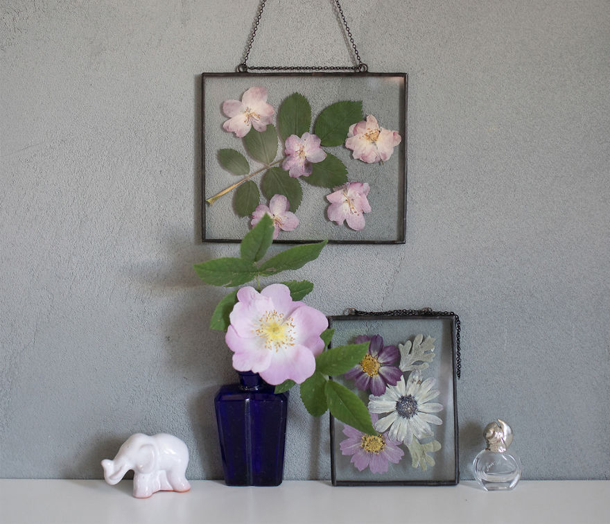 I Quit My Job To Follow My Passion Of Delicate Framed Herbariums I Quit My Job To Follow My Passion Of Delicate Framed Herbariums