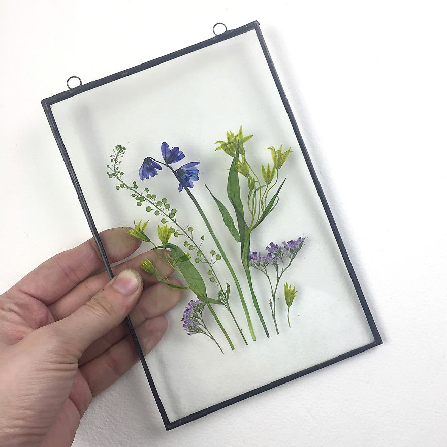 I Quit My Job To Follow My Passion Of Delicate Framed Herbariums I Quit My Job To Follow My Passion Of Delicate Framed Herbariums
