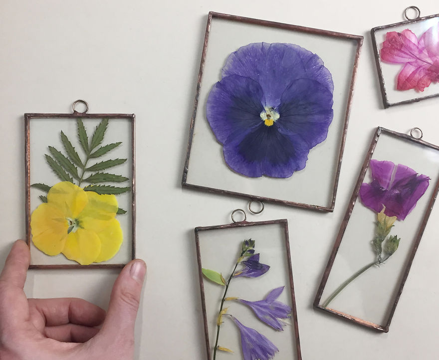 I Quit My Job To Follow My Passion Of Delicate Framed Herbariums