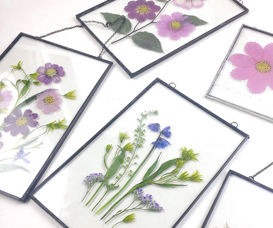 I Quit My Job To Follow My Passion Of Delicate Framed Herbariums I Quit My Job To Follow My Passion Of Delicate Framed Herbariums