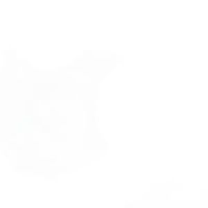 samphann_long avatar