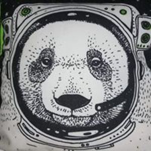 andreagaia0311 avatar