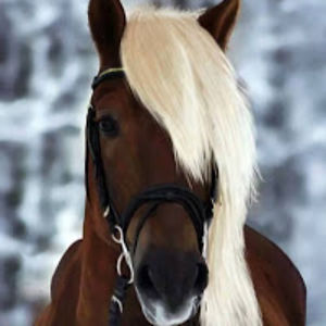 trinityrobinson avatar