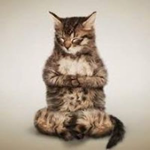 rachael_stalker avatar