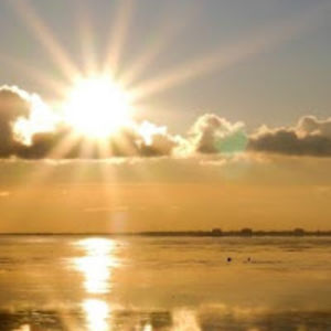 biswadeepauddy avatar