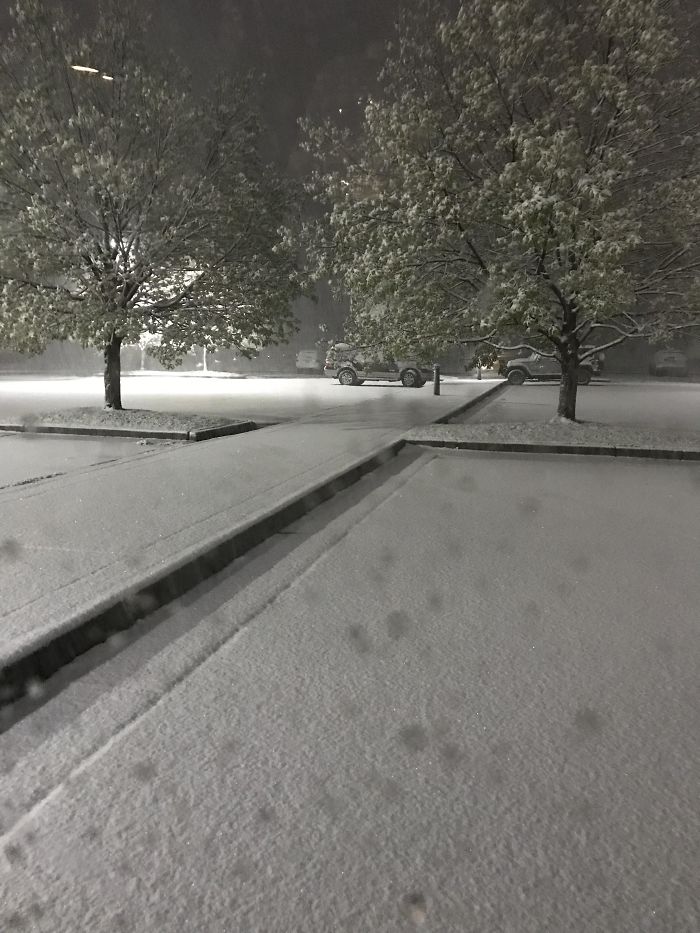 My School Gets Out In 4 Days For The Summer