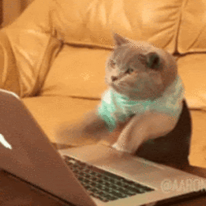 sabrinabarreto avatar