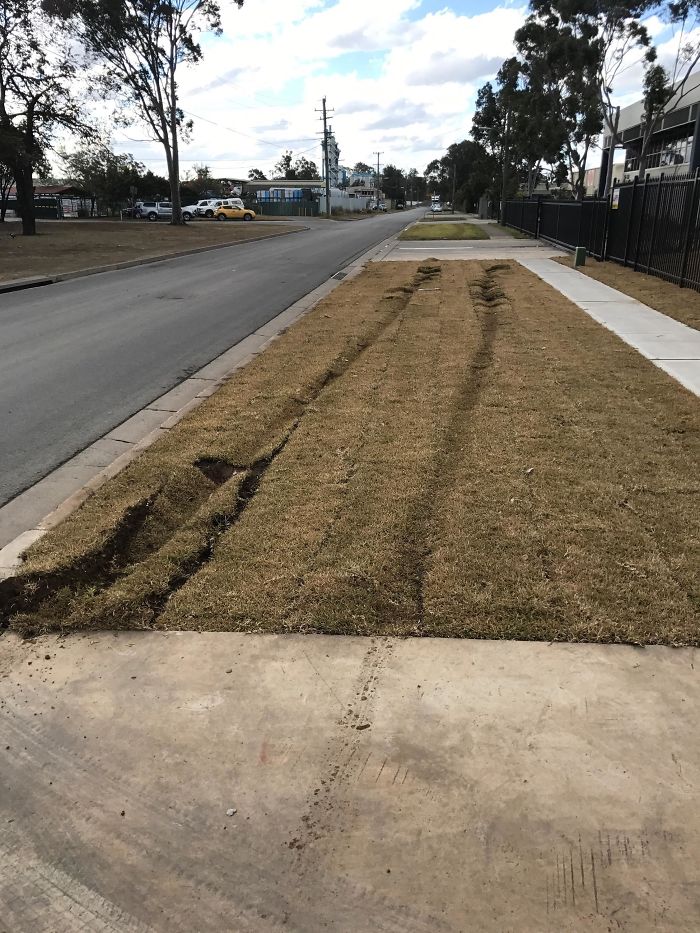 A Truck Drove On Turf I Layed Yesterday