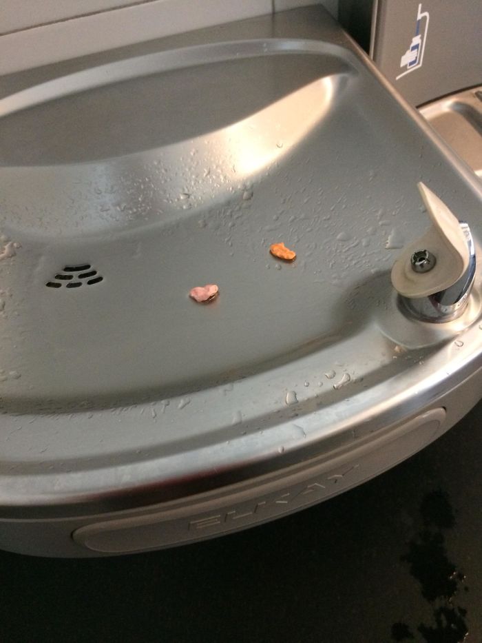 The **** Is This ****