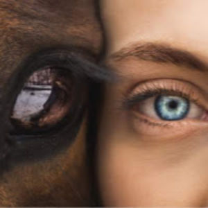 isabellalettman avatar