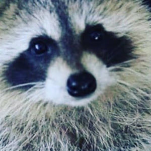 georginasaunders avatar