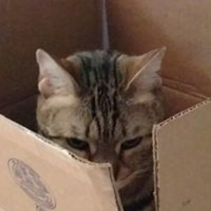 xhuskydog2001x avatar