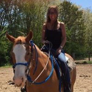 amandalchambers001 avatar