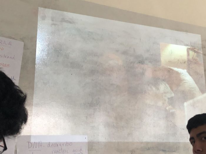 Watching A Movie In Class On A Dirty Whiteboard, With A Crooked, Blurry, Projector