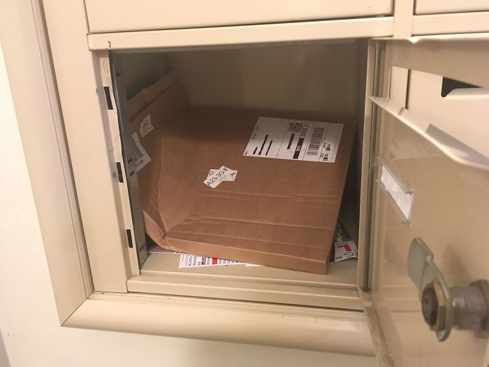 How The Mailman Delivered The Vinyl I Ordered