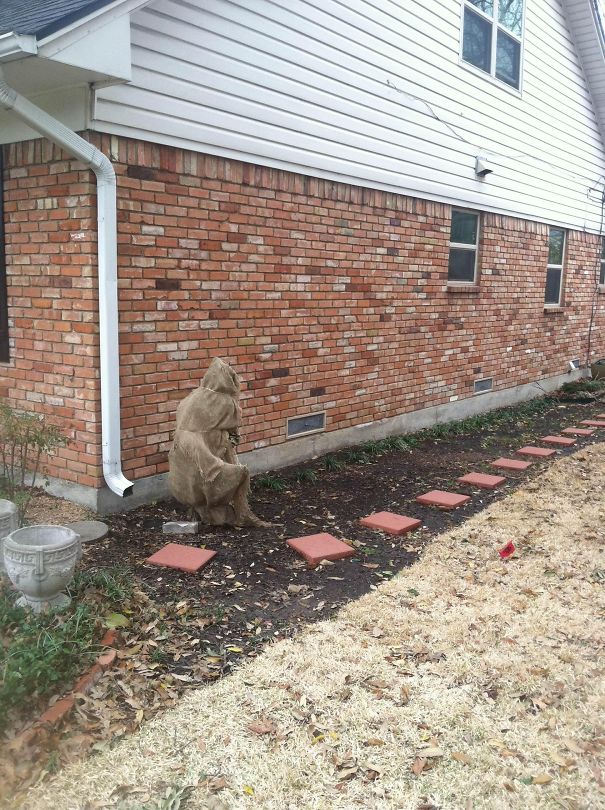 This Was On The Side Of My Friends House, Scared The Crap Out Of Me