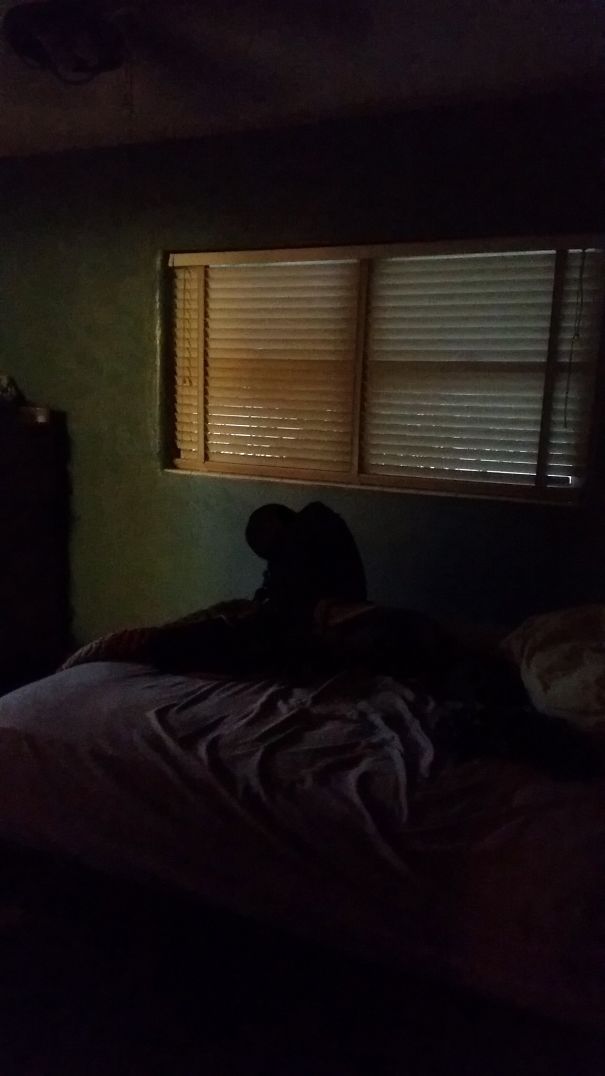 Came Home Late And Found This Sitting On The Edge Of My Bed. I Now Know What It's Like To Be Too Scared To Move