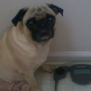 rechealritchie avatar