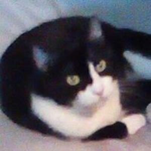 motherofsavages avatar