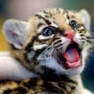 robinmiller_1 avatar