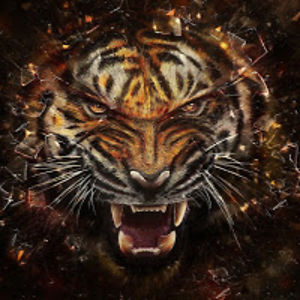 timeotournier avatar