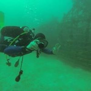 marco_andreani avatar