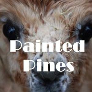 paintedpines avatar