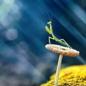 xstormyskysx1 avatar