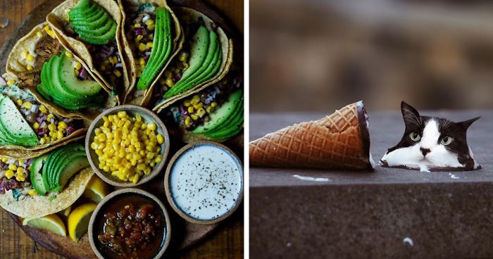 I Photoshop Two Of The Best Things In The World Together – Cats And Food (30 New Pics)
