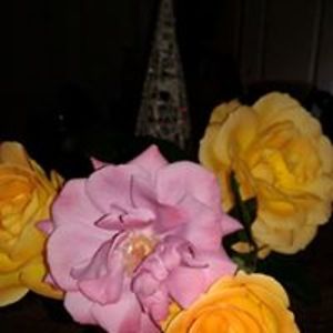 flowersbymay55 avatar