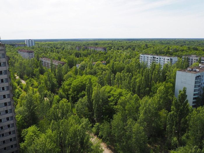 30 Years Later, Pripyat Has Turned Into A Sort Of Nature Reserve