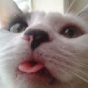 christinefernandez avatar