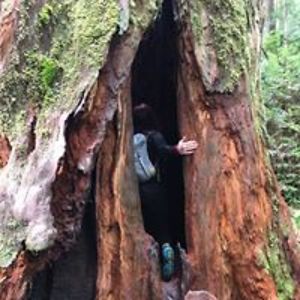 emily_mccuiston avatar