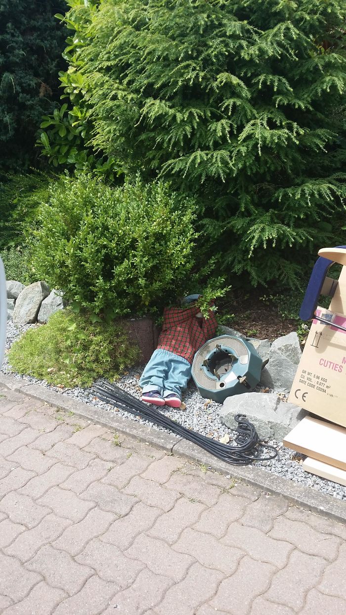 Drove By A Bush And Nearly Had A Heart Attack Because Of This!