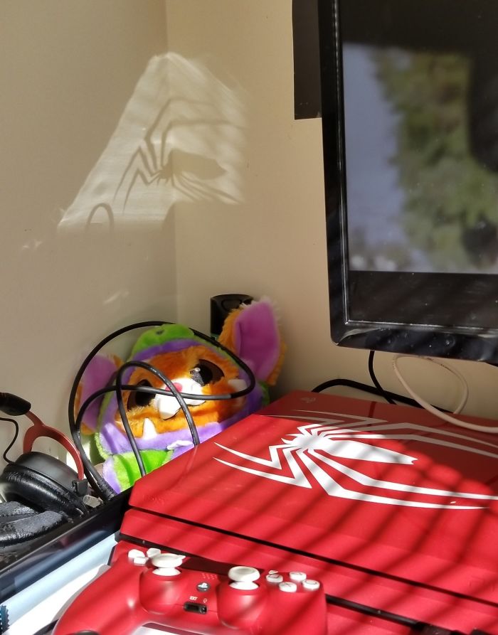 My Spiderman Ps4 Pro Scared Me When The Sun Reflected A Shadow Of A Spider