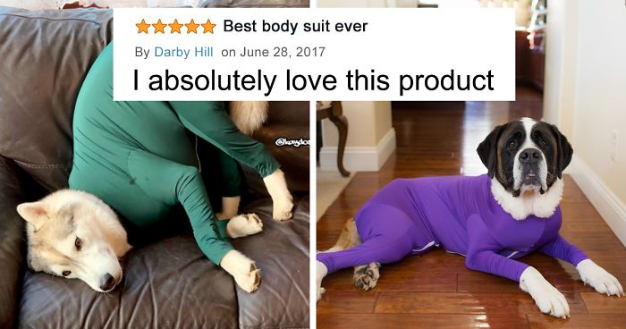 Amazon Is Selling Dog Onesies That Protect Your House From Shedding And Helps Reduce Their Anxiety