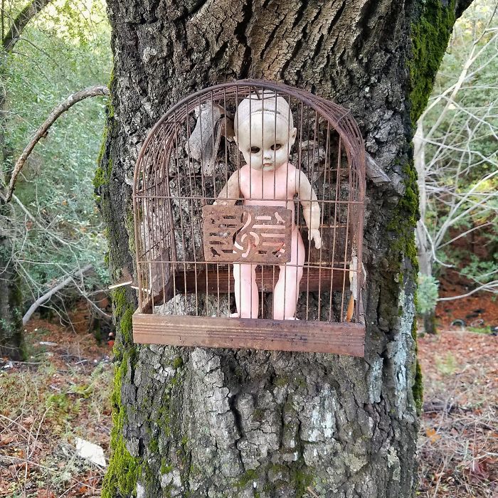 Found Something Creepy In The Woods