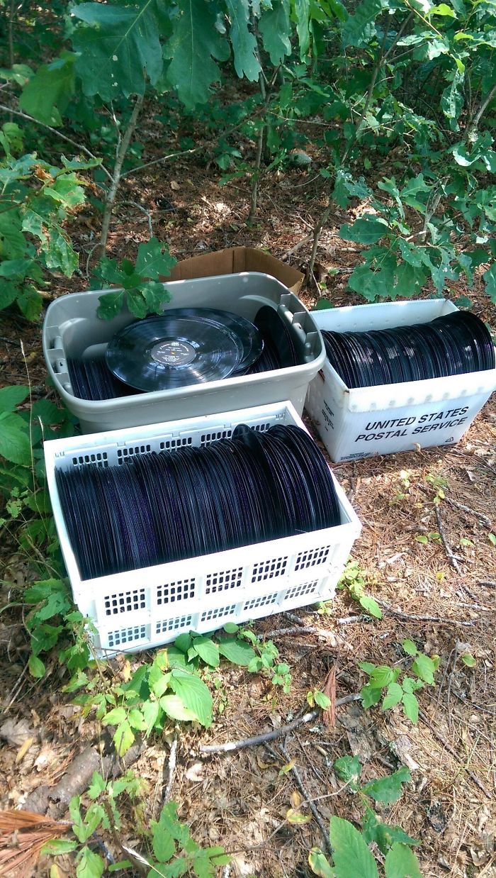 Found All These Old Records Hidden Deep In The Woods
