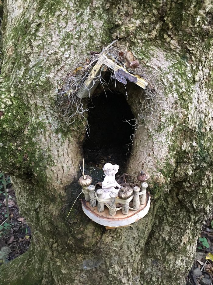 Saw This Along A Trail In The Woods