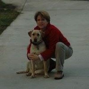 membershipstuff avatar