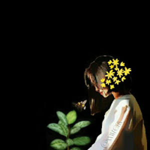 wrenscribbles avatar