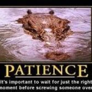 condreanicu2002 avatar