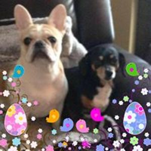 henniferjunnicutt avatar