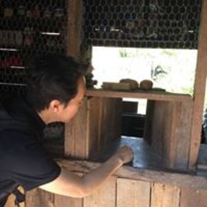 rachmadhamdan avatar