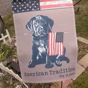 blondeecruiser avatar