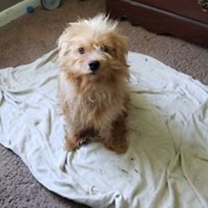 hansenchris48 avatar