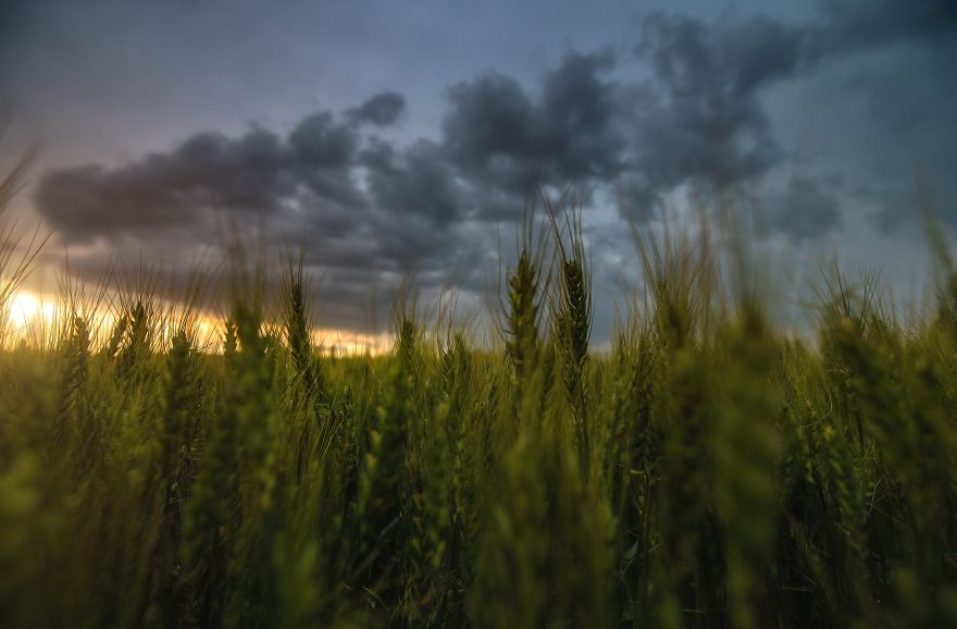 I Photographed The Romanian Countryside